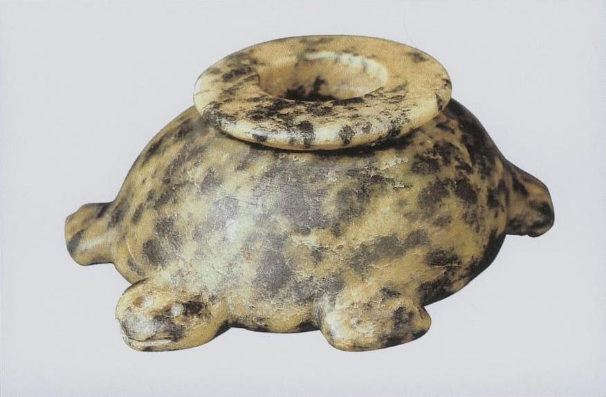 France - Les tortues de Paris.